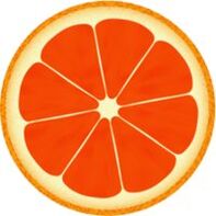 pamplemousse pour le régime dukan